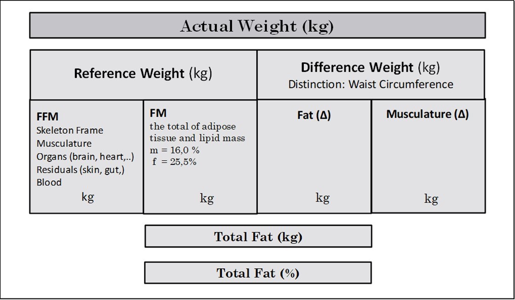 Journal of Obesity Management - Body Composition