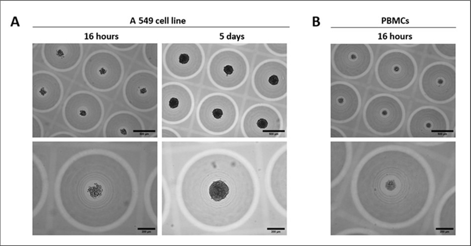Journal of Cancer Genetics and Biomarkers - Cancer biomarker