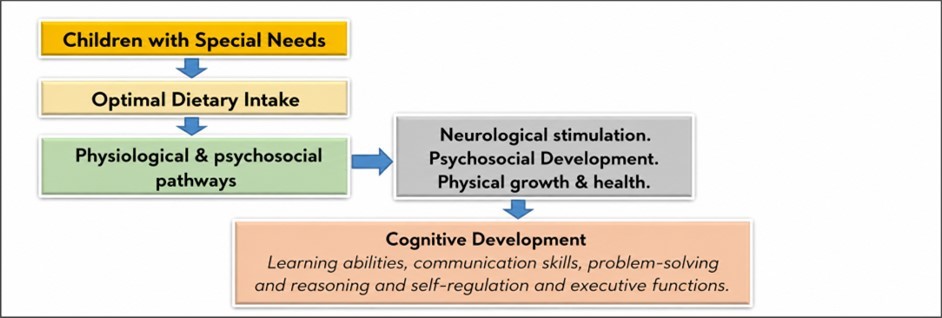 Figure 1. Conceptual Framework
