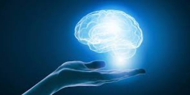 Article: JALR. New Journal, Old questions, Fresh insights