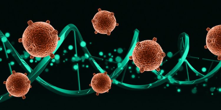 Article: High-Throughput Complex Disease Modeling for Ethical Drug Discovery: Clinical Relevance of a NAM Platform for Cancer Biomarker Development
